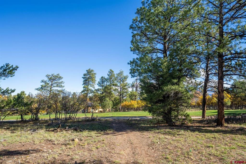 274 Puma Lane Ridgway CO 81432