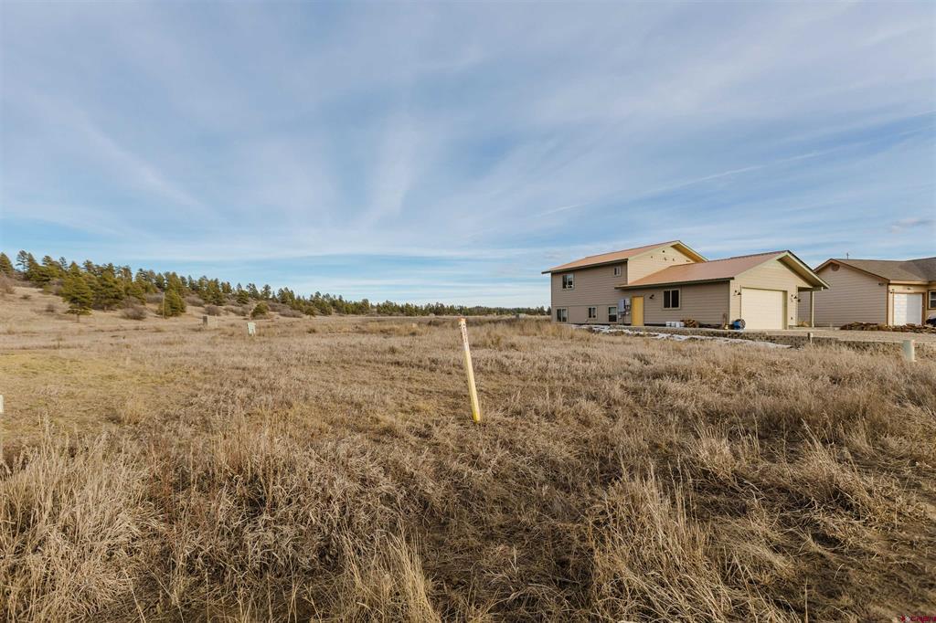 36 Sam Houston Avenue Pagosa Springs CO 81147