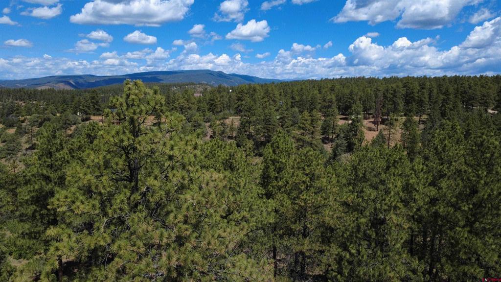121 Engineer Point Pagosa Springs CO 81147