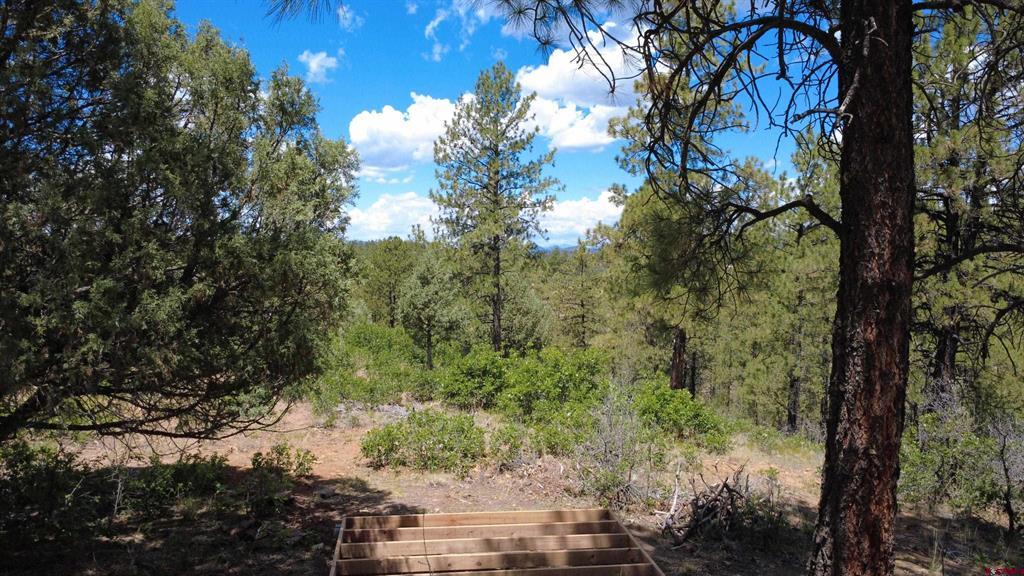 121 Engineer Point Pagosa Springs CO 81147