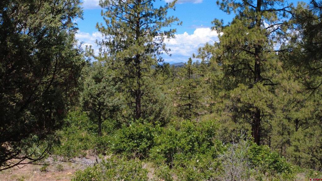 121 Engineer Point Pagosa Springs CO 81147