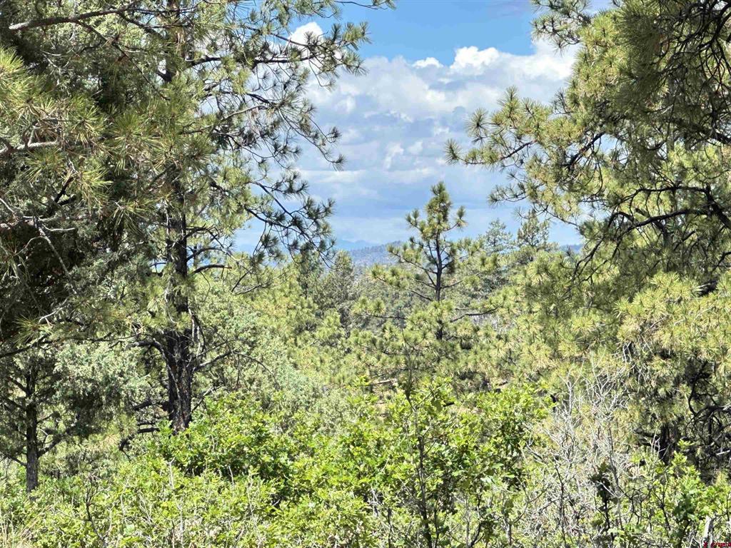121 Engineer Point Pagosa Springs CO 81147