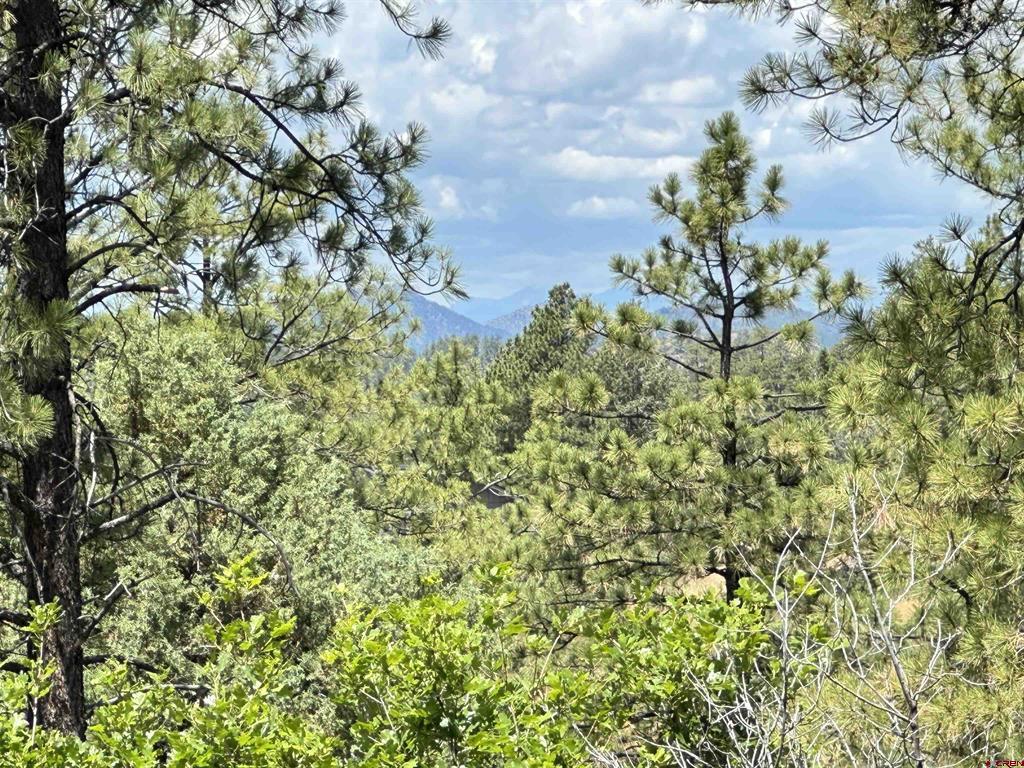 121 Engineer Point Pagosa Springs CO 81147