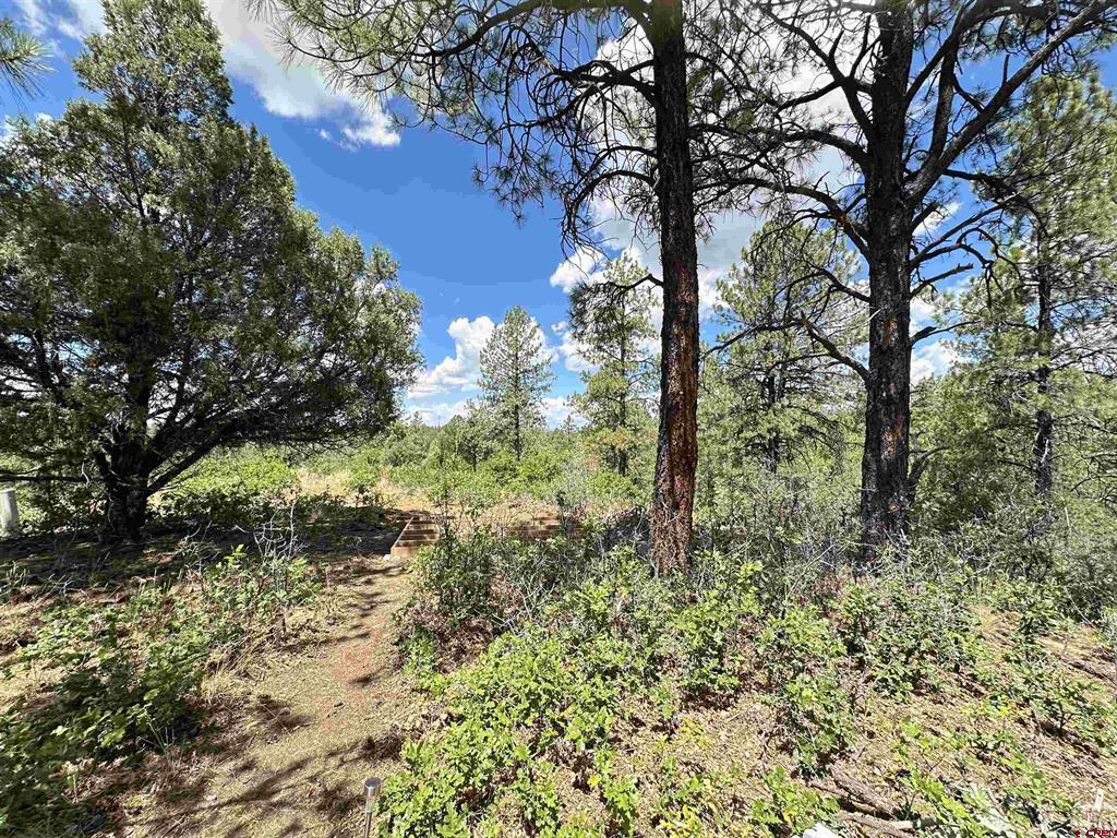 121 Engineer Point Pagosa Springs CO 81147