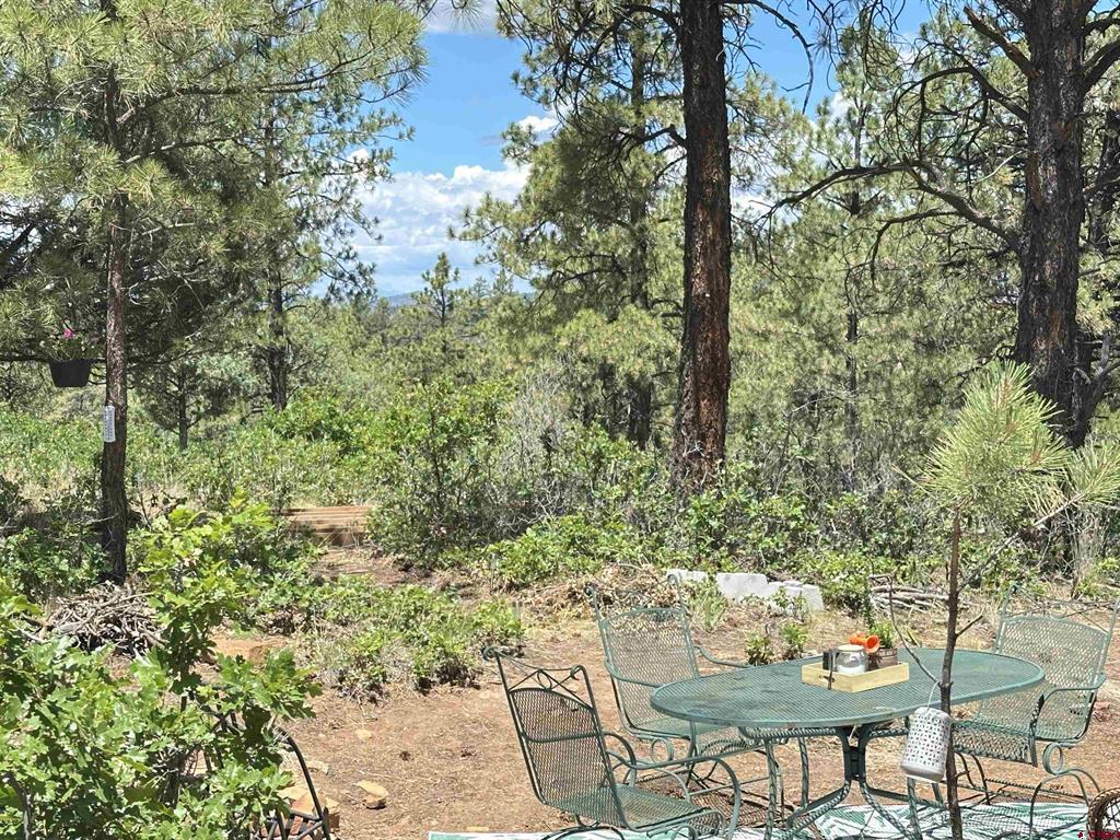 121 Engineer Point Pagosa Springs CO 81147