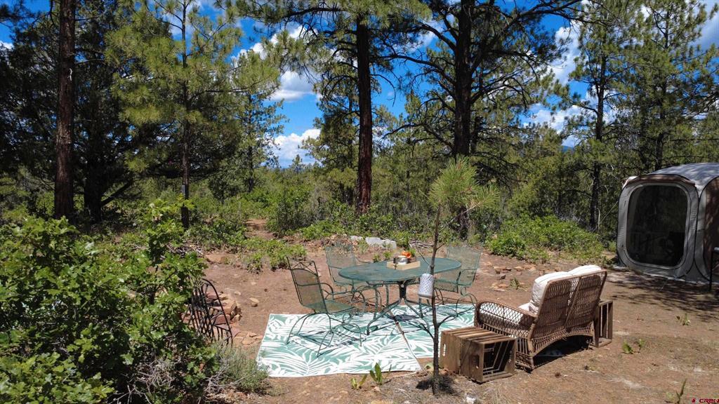 121 Engineer Point Pagosa Springs CO 81147