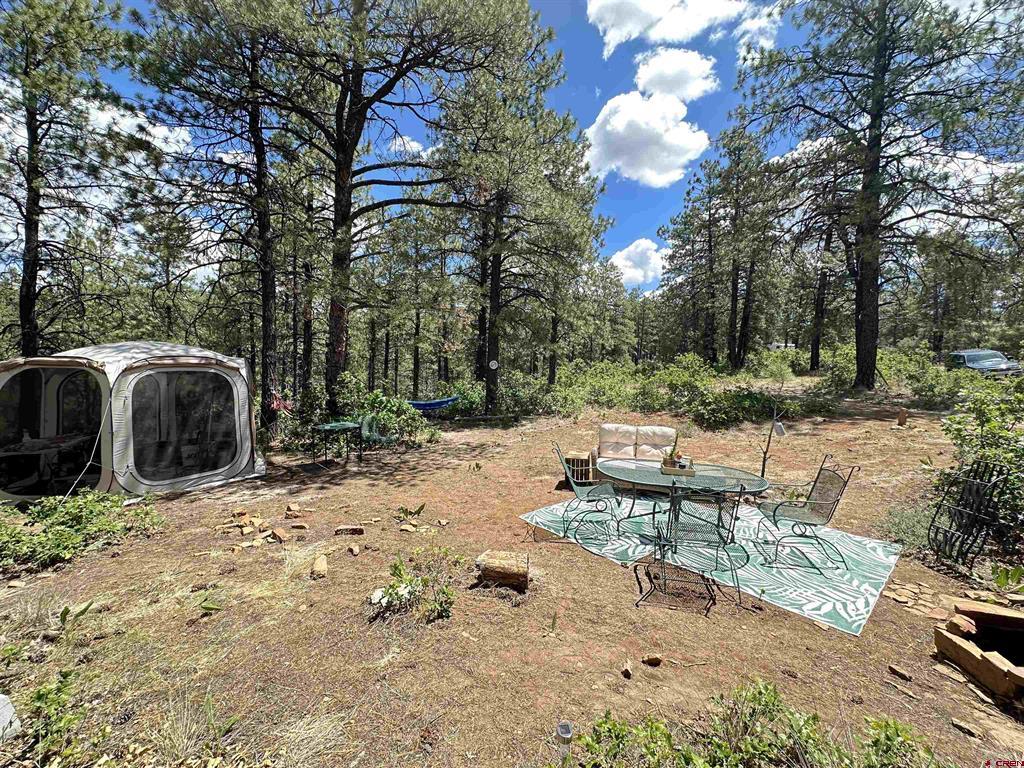 121 Engineer Point Pagosa Springs CO 81147