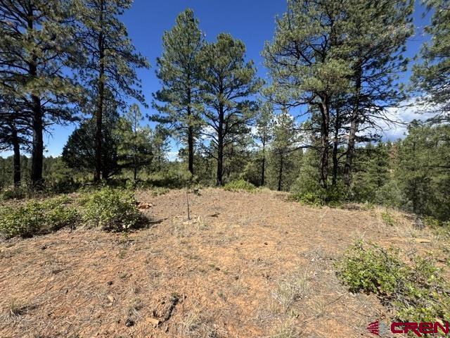 121 Engineer Point Pagosa Springs CO 81147