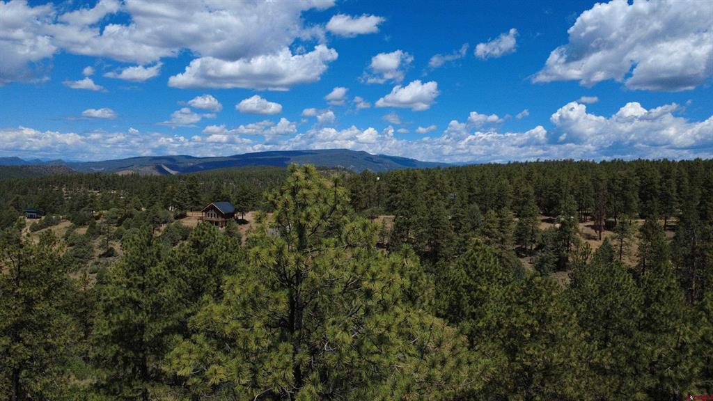 121 Engineer Point Pagosa Springs CO 81147