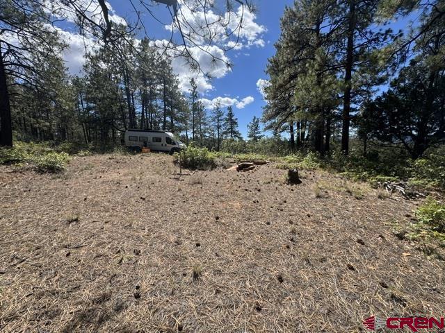 121 Engineer Point Pagosa Springs CO 81147