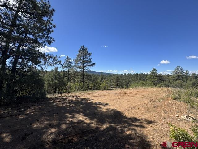 121 Engineer Point Pagosa Springs CO 81147