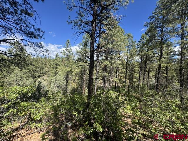 121 Engineer Point Pagosa Springs CO 81147
