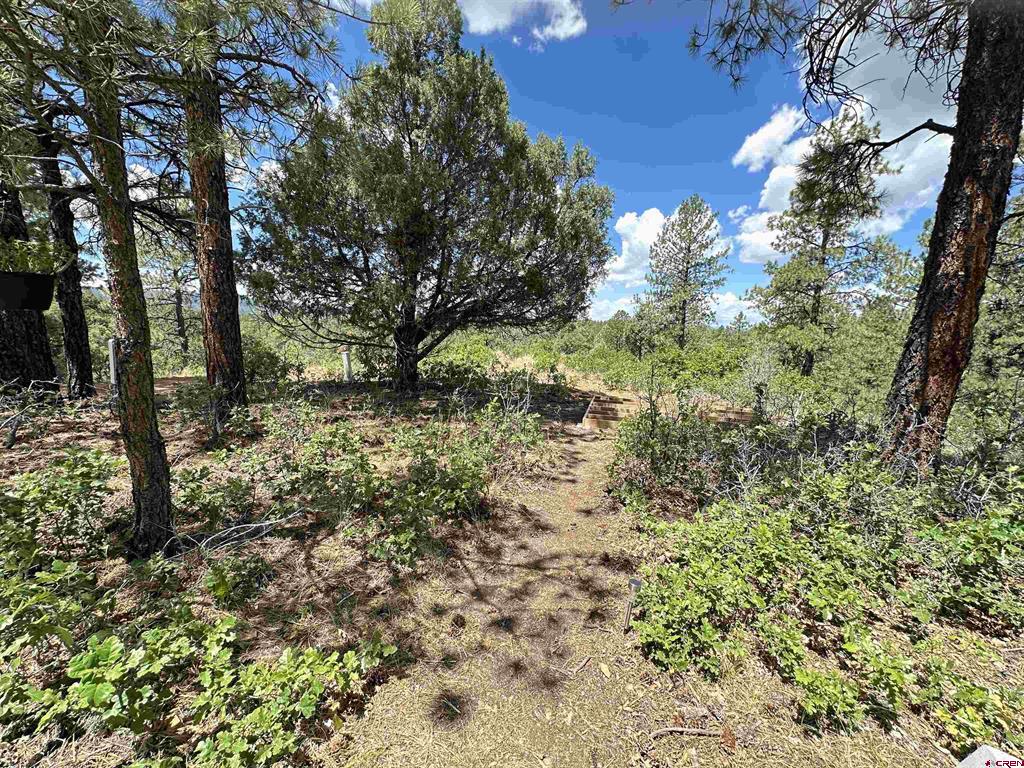 121 Engineer Point Pagosa Springs CO 81147