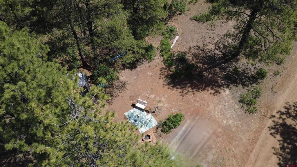 121 Engineer Point Pagosa Springs CO 81147