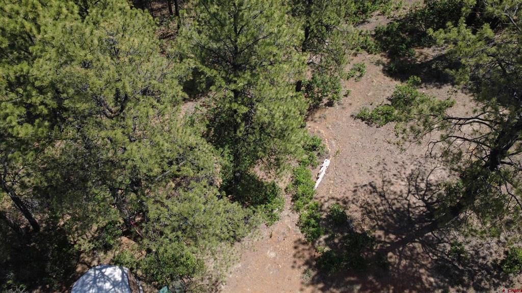 121 Engineer Point Pagosa Springs CO 81147