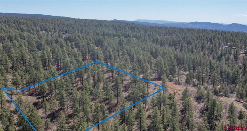 121 Engineer Point Pagosa Springs CO 81147
