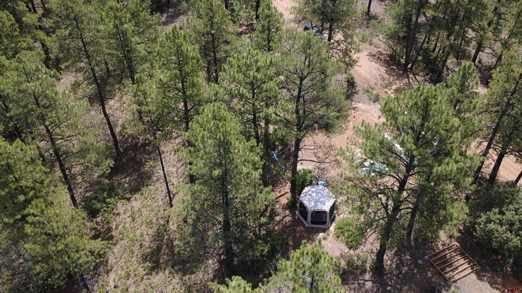 121 Engineer Point Pagosa Springs CO 81147