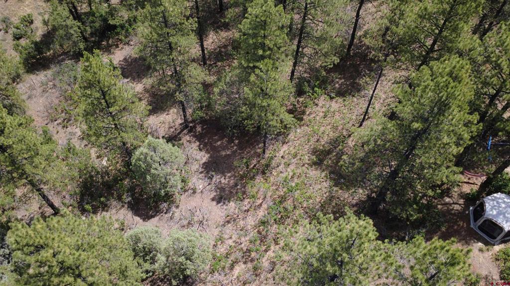 121 Engineer Point Pagosa Springs CO 81147