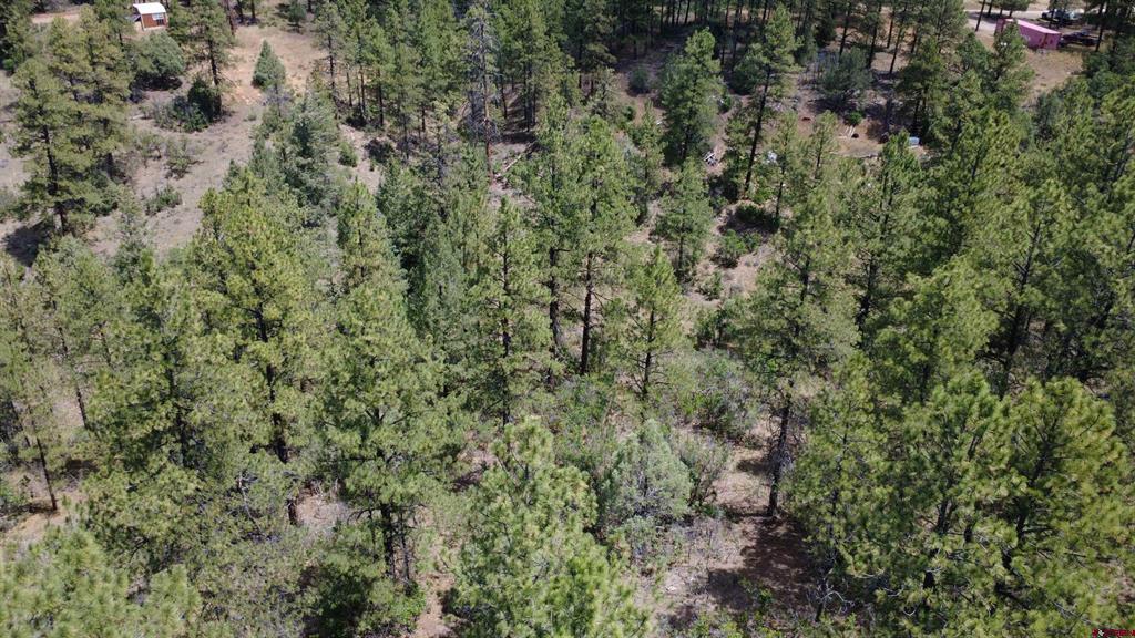 121 Engineer Point Pagosa Springs CO 81147