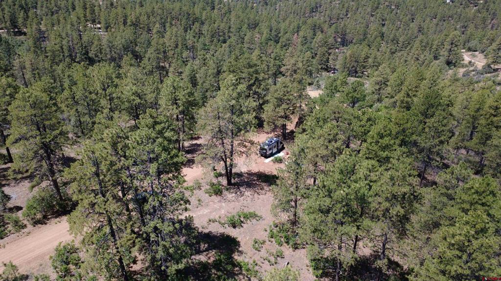 121 Engineer Point Pagosa Springs CO 81147