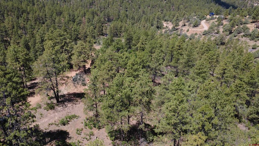 121 Engineer Point Pagosa Springs CO 81147