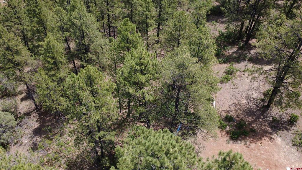 121 Engineer Point Pagosa Springs CO 81147