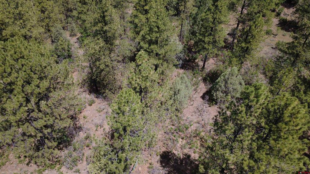 121 Engineer Point Pagosa Springs CO 81147