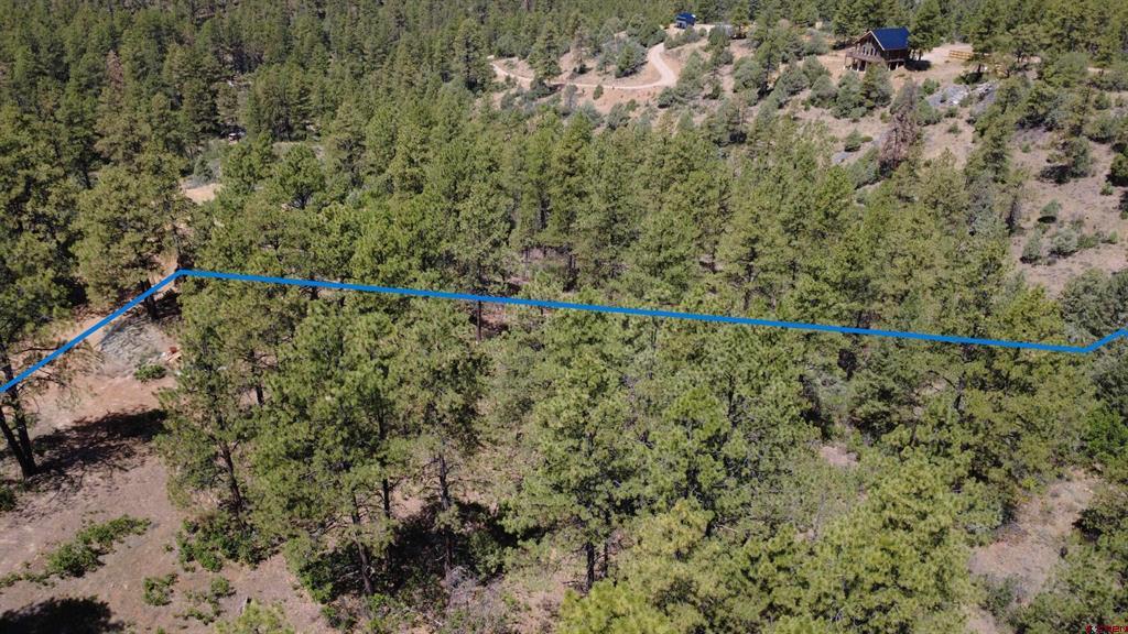 121 Engineer Point Pagosa Springs CO 81147