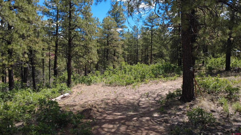 121 Engineer Point Pagosa Springs CO 81147