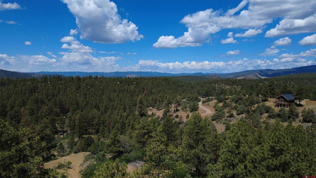 121 Engineer Point Pagosa Springs CO 81147