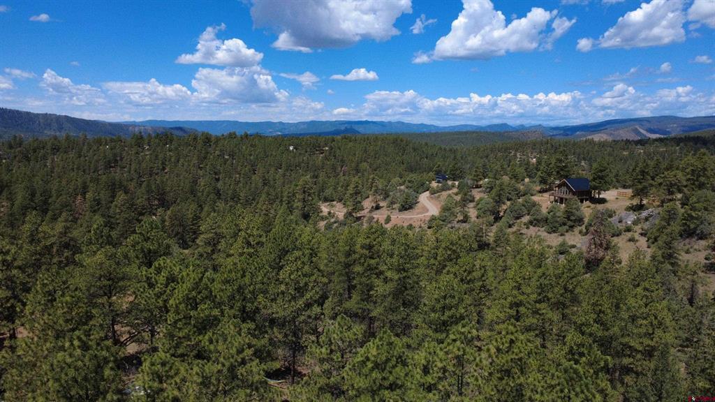 121 Engineer Point Pagosa Springs CO 81147