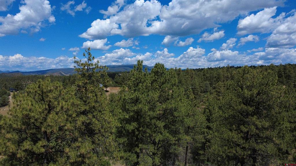 121 Engineer Point Pagosa Springs CO 81147