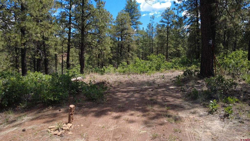 121 Engineer Point Pagosa Springs CO 81147