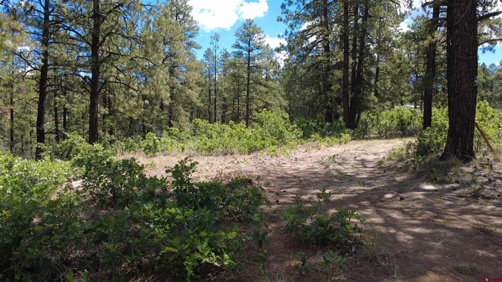 121 Engineer Point Pagosa Springs CO 81147