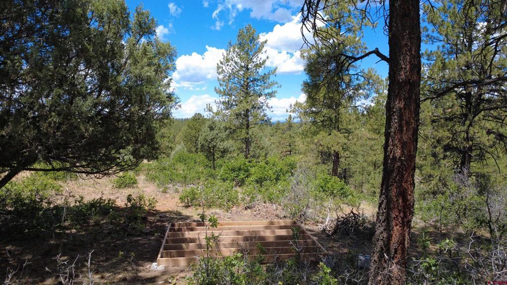 121 Engineer Point Pagosa Springs CO 81147