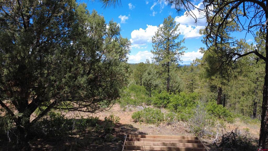 121 Engineer Point Pagosa Springs CO 81147