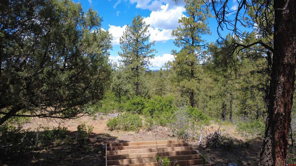 121 Engineer Point Pagosa Springs CO 81147