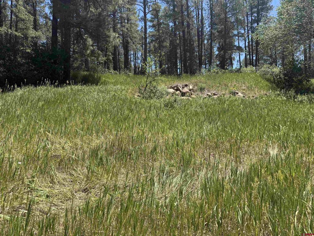 473 Alpine Forest Drive Bayfield CO 81122