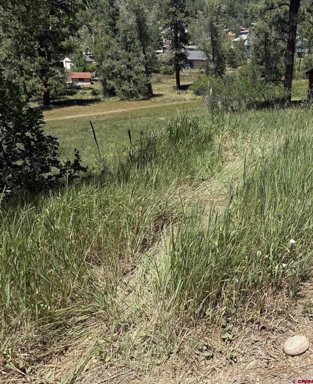 473 Alpine Forest Drive Bayfield CO 81122