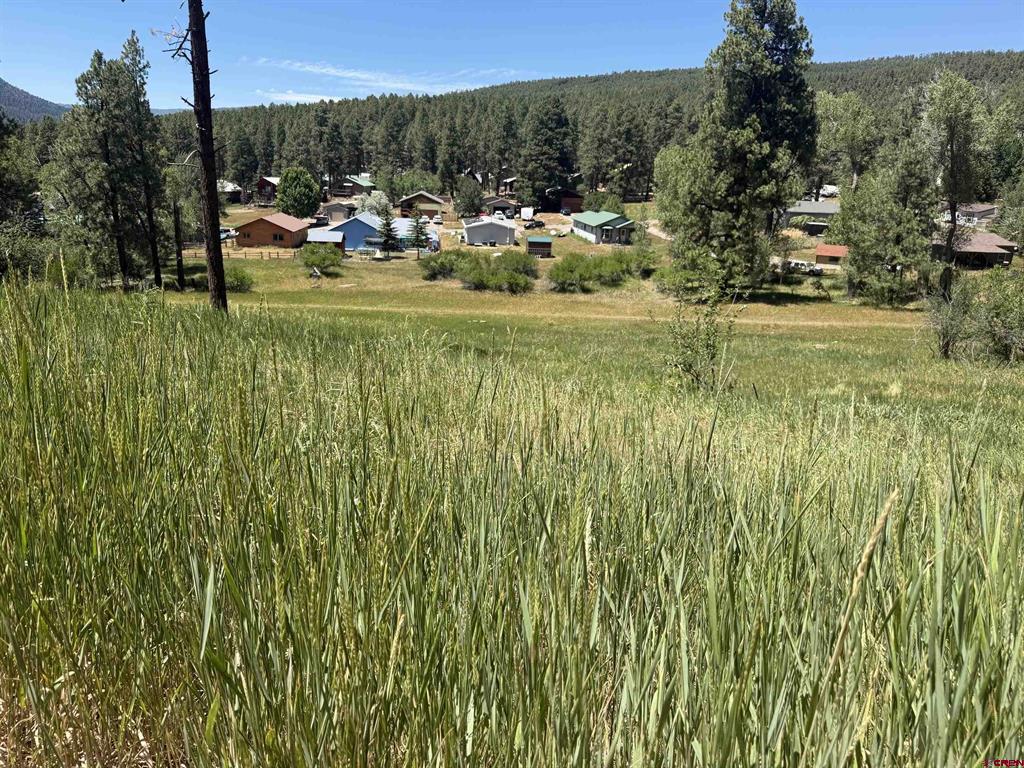 473 Alpine Forest Drive Bayfield CO 81122