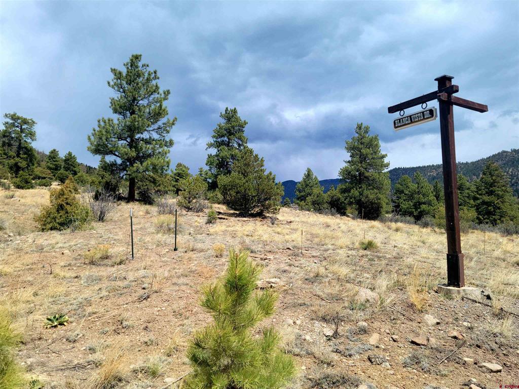 506 Blanca Vista Drive Lot 7 South Fork CO 81154