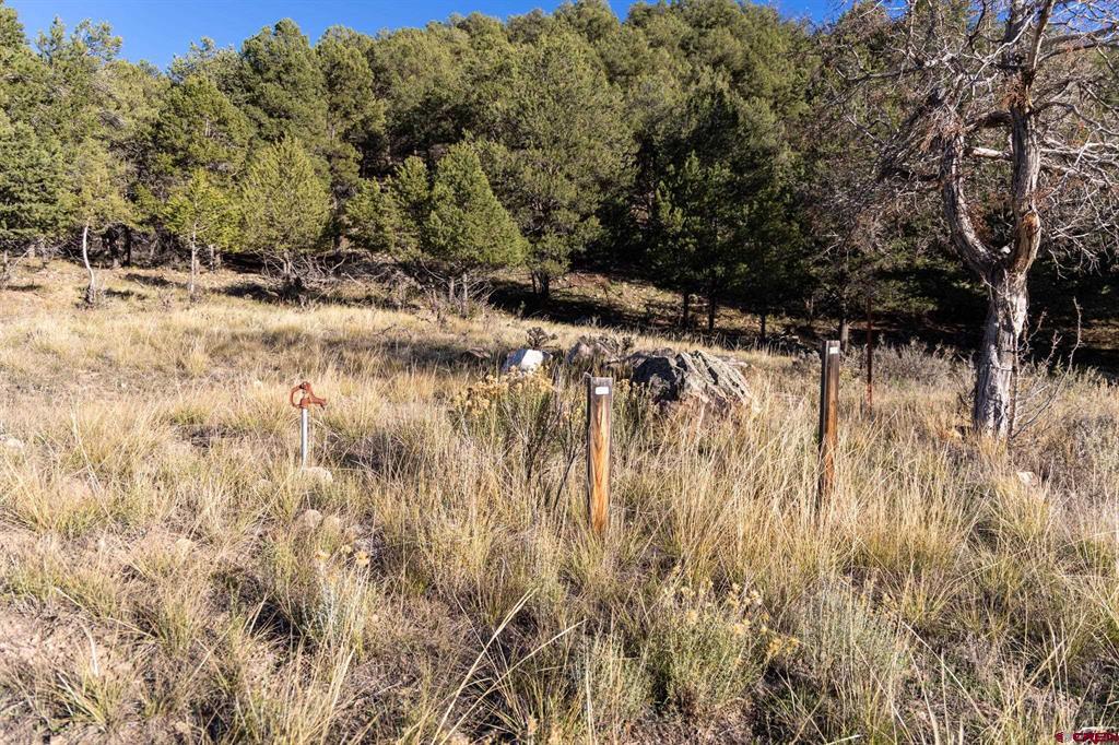 125 & 175 Pasture Place Montrose CO 81403