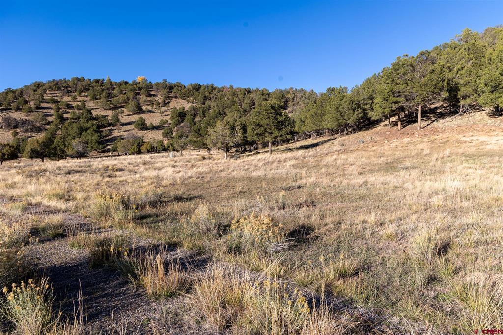 125 & 175 Pasture Place Montrose CO 81403