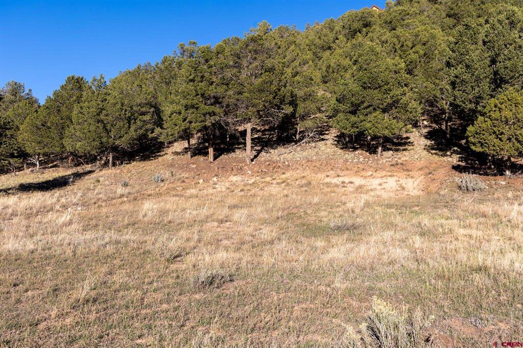125 & 175 Pasture Place Montrose CO 81403