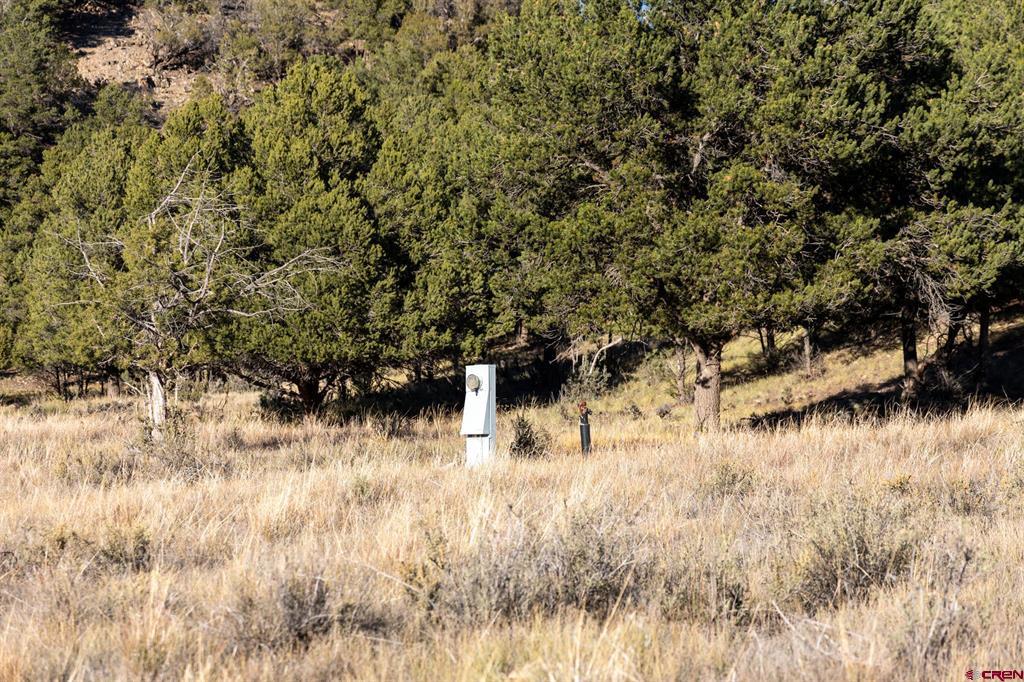 125 & 175 Pasture Place Montrose CO 81403
