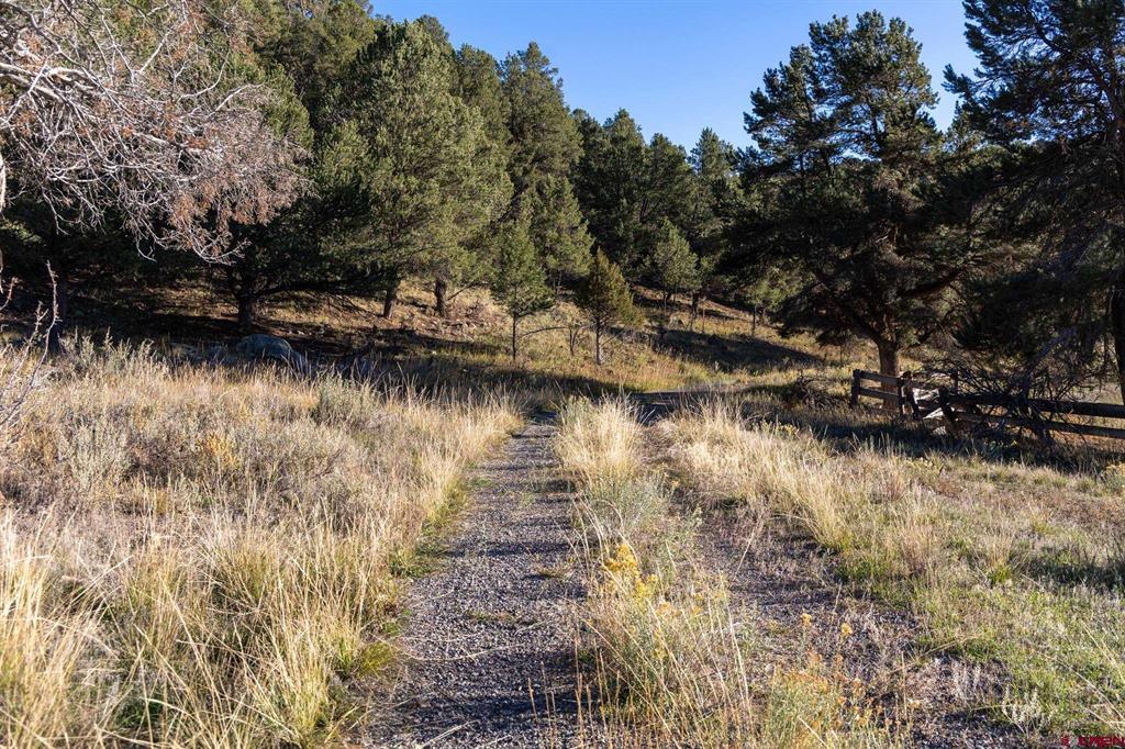 125 & 175 Pasture Place Montrose CO 81403