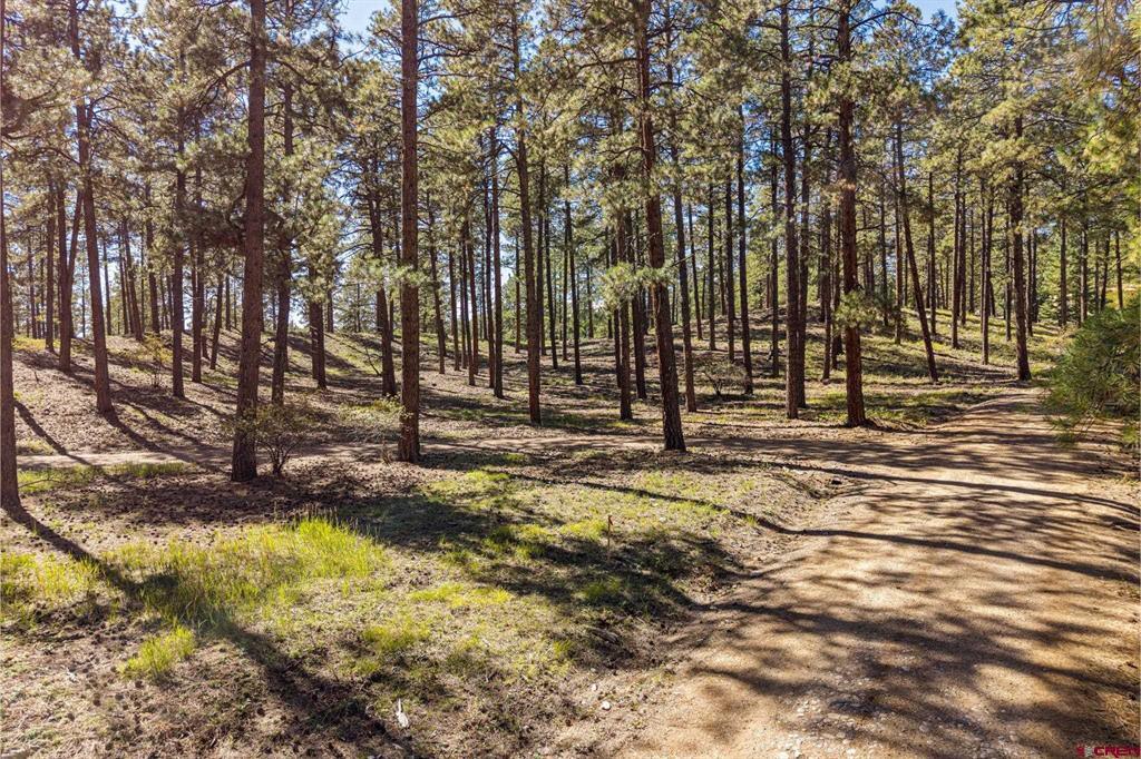 264 Badger Road Bayfield CO 81122