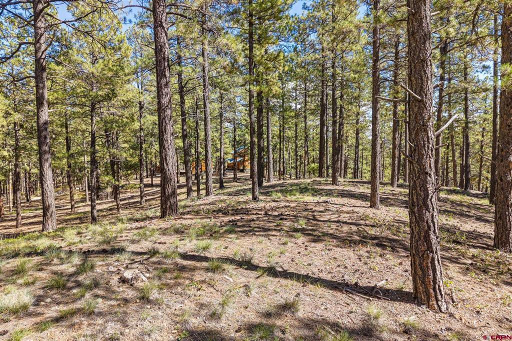 264 Badger Road Bayfield CO 81122
