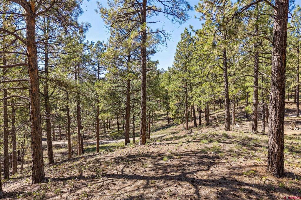 264 Badger Road Bayfield CO 81122