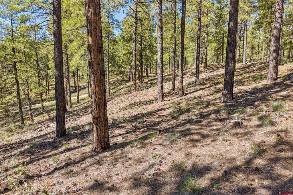 264 Badger Road Bayfield CO 81122